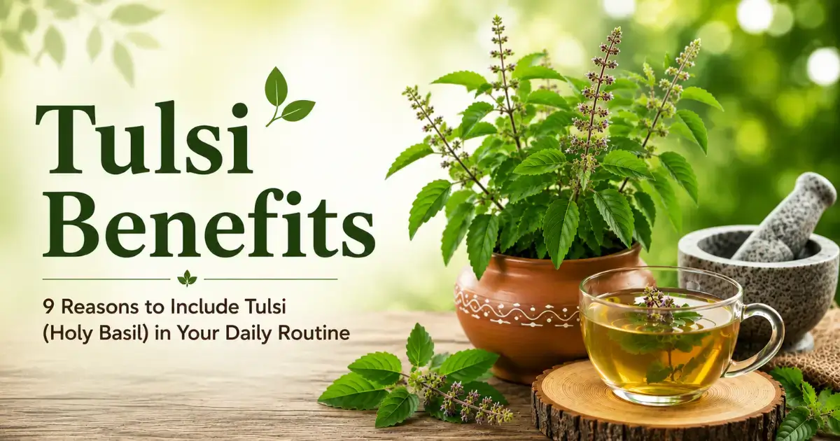 Tulsi (Holy Basil) plant with a cup of tulsi tea, illustrating the health benefits of including tulsi in your daily routine.
