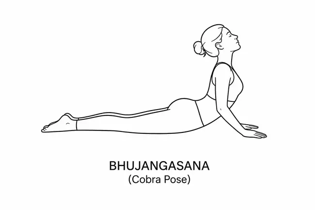 Female outline illustration demonstrating Bhujangasana (Cobra Pose) yoga pose.