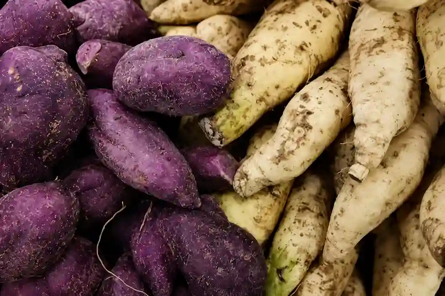 Purple and white sweet potatoes placed side by side, showing different varieties and natural texture