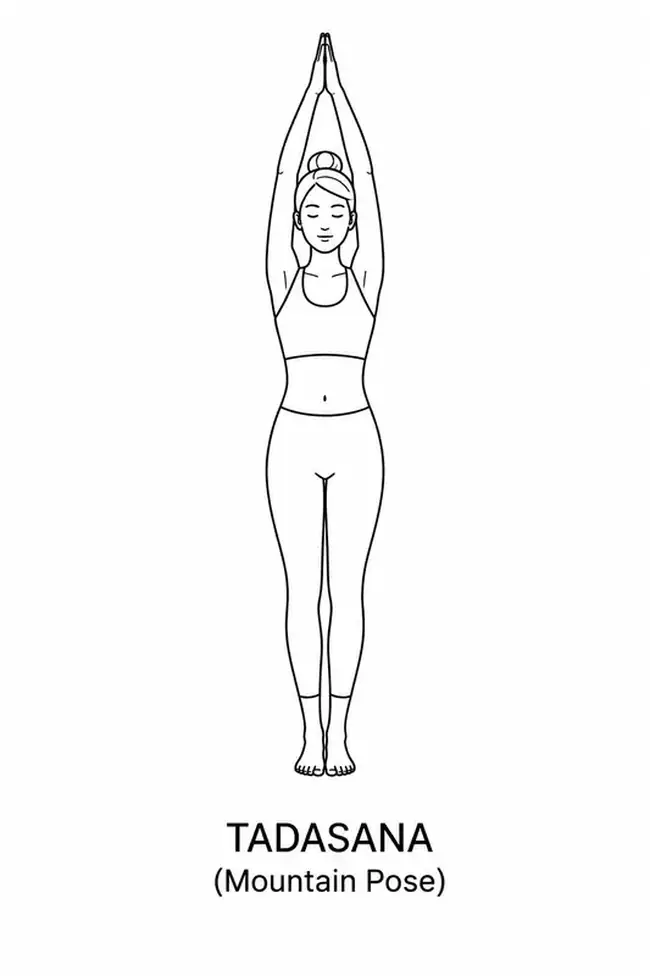 Female outline illustration demonstrating Tadasana (Mountain Pose) yoga pose.